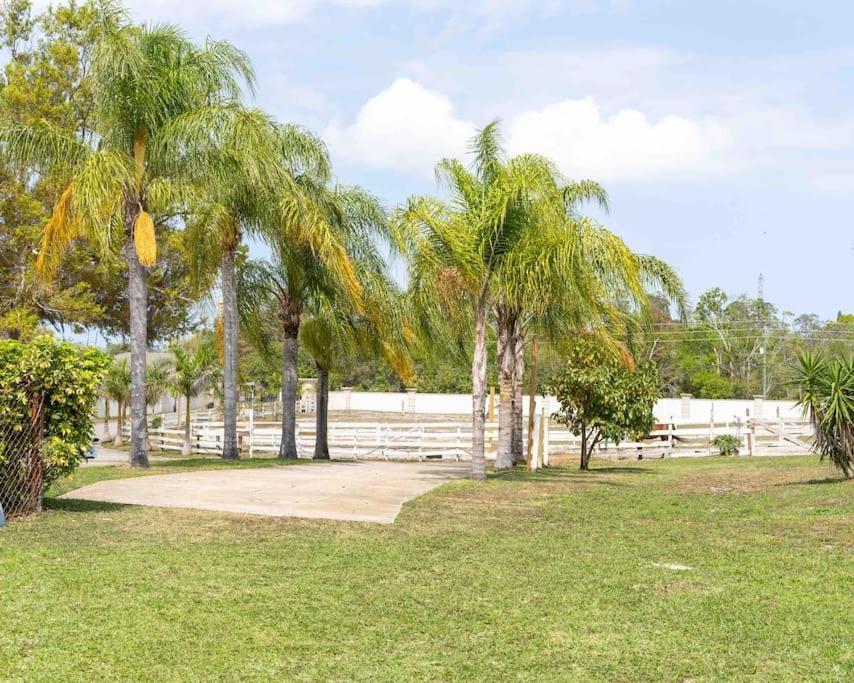 Ferienwohnung Tampa Bay Oasis Tarpon Springs Exterior foto