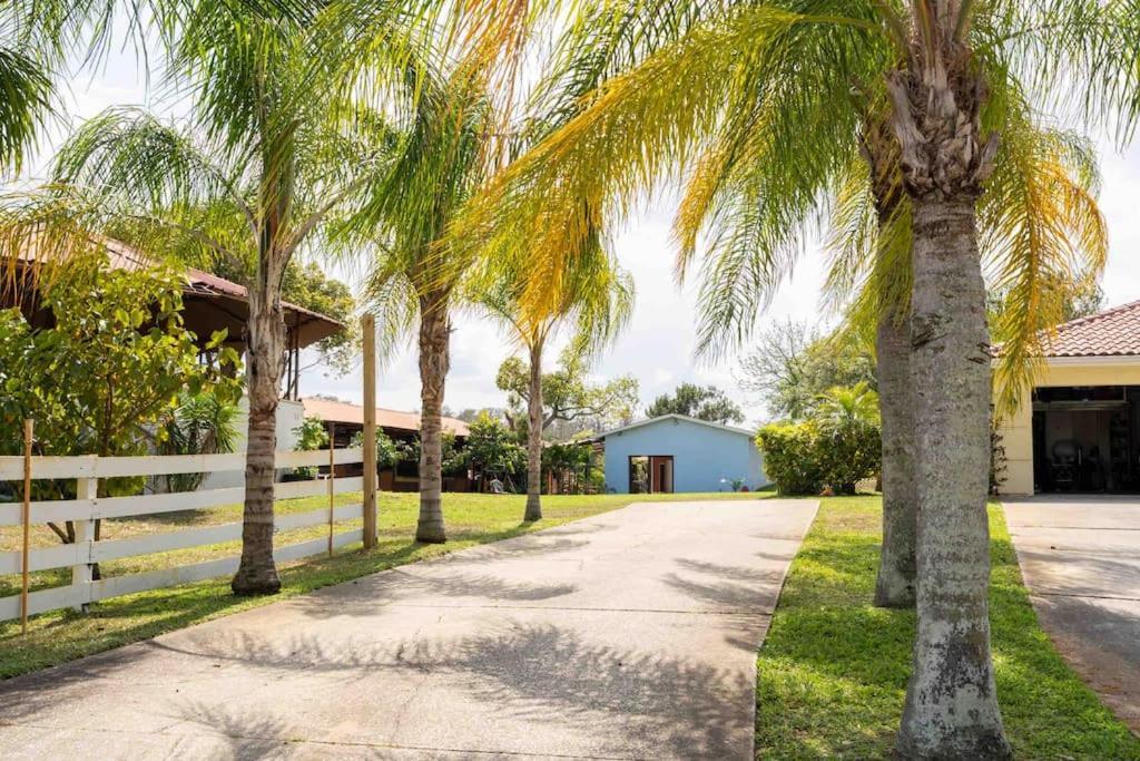 Ferienwohnung Tampa Bay Oasis Tarpon Springs Exterior foto