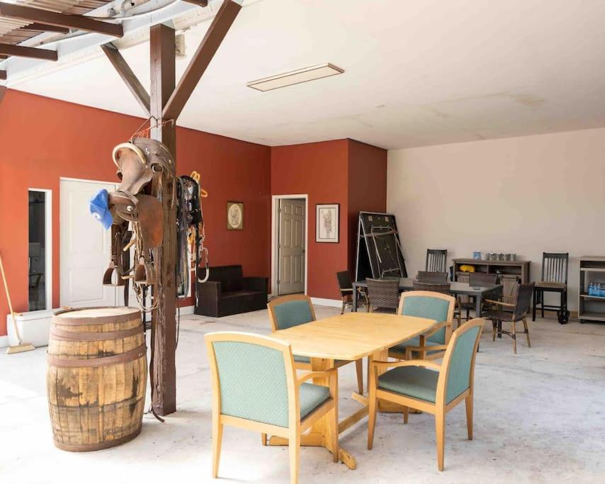 Ferienwohnung Tampa Bay Oasis Tarpon Springs Exterior foto