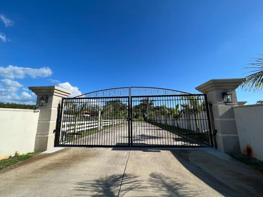 Ferienwohnung Tampa Bay Oasis Tarpon Springs Exterior foto