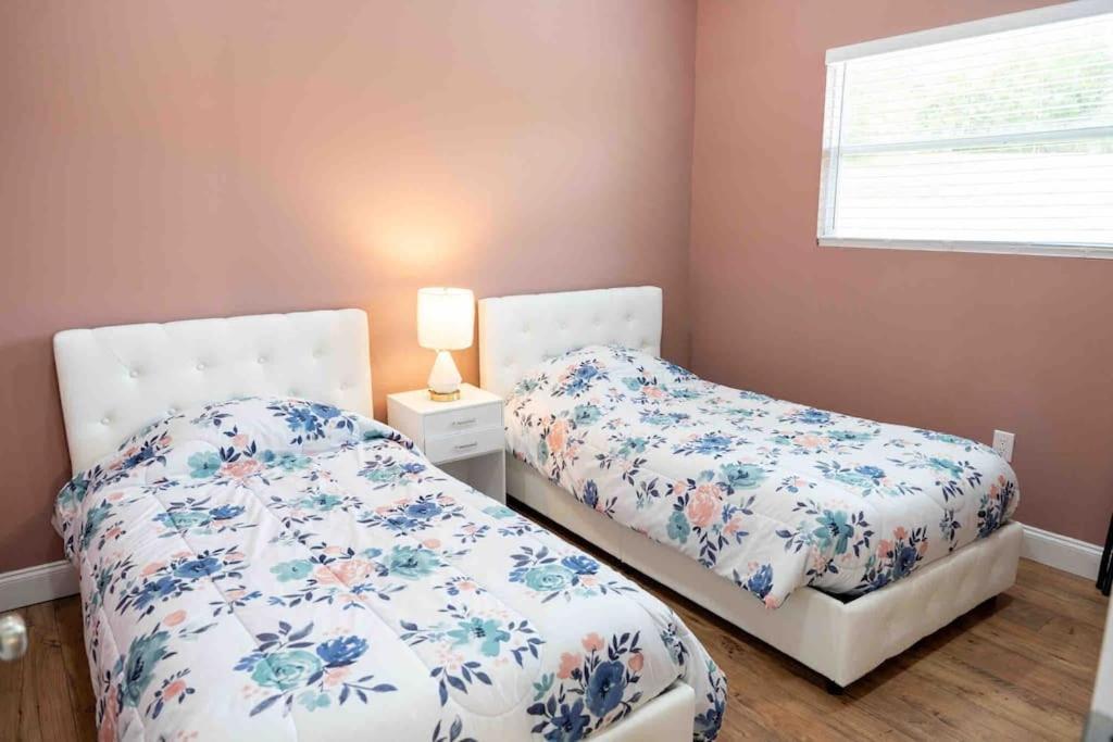 Ferienwohnung Tampa Bay Oasis Tarpon Springs Exterior foto
