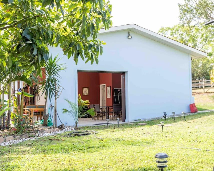 Ferienwohnung Tampa Bay Oasis Tarpon Springs Exterior foto