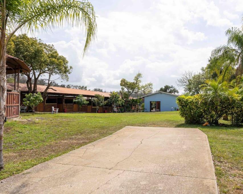 Ferienwohnung Tampa Bay Oasis Tarpon Springs Exterior foto